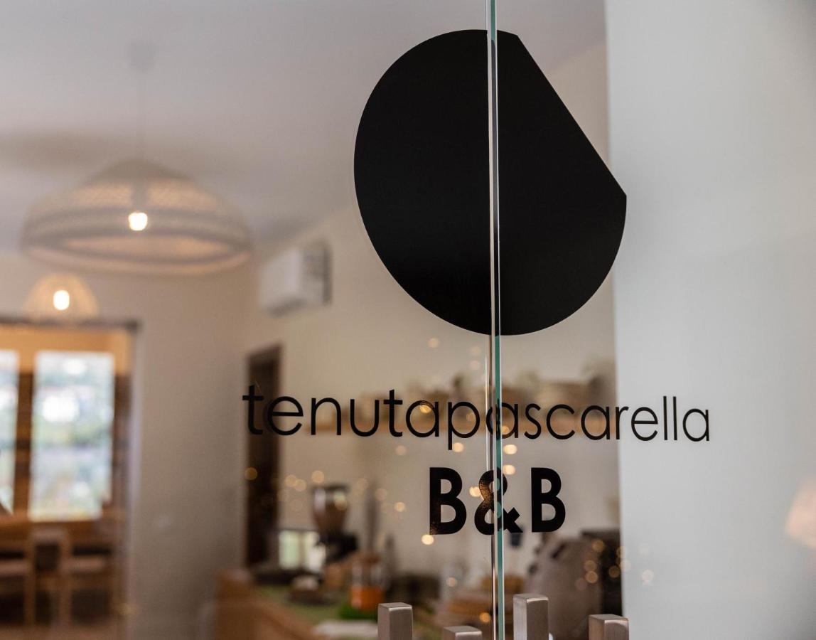 Tenuta Pascarella Bed & Breakfast Frasso Telesino 外观 照片
