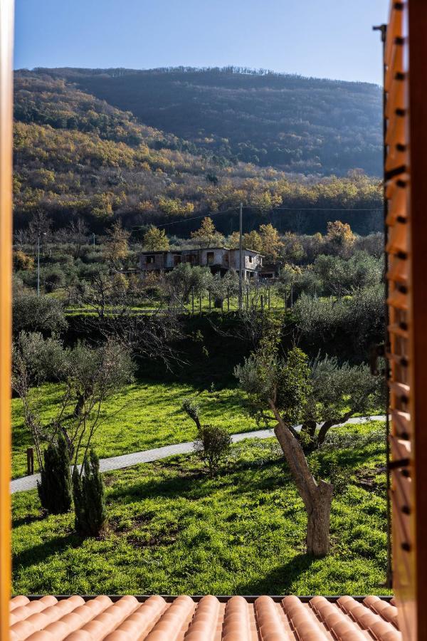 Tenuta Pascarella Bed & Breakfast Frasso Telesino 外观 照片